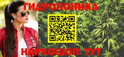 крисы Мариинск
