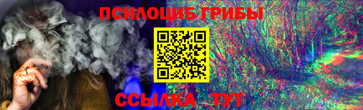 Советск  Галлюциногенные грибы Magic Shrooms  Псилоцибиновые грибы GOLDEN TEACHER  Вход с VPN 