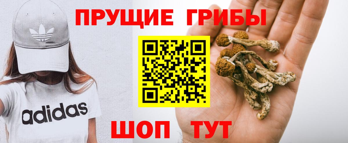 Псилоцибиновые грибы GOLDEN TEACHER Советск